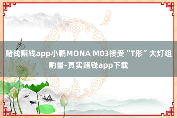 赌钱赚钱app小鹏MONA M03接受“T形”大灯组酌量-真实赌钱app下载