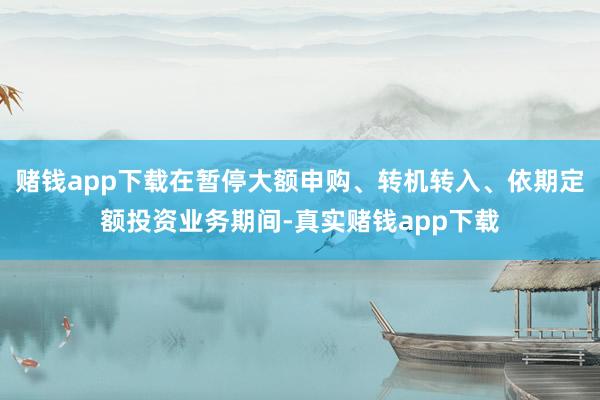 赌钱app下载在暂停大额申购、转机转入、依期定额投资业务期间-真实赌钱app下载