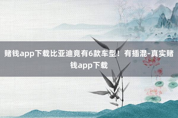 赌钱app下载比亚迪竟有6款车型！有插混-真实赌钱app下载