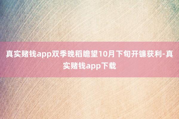 真实赌钱app双季晚稻瞻望10月下旬开镰获利-真实赌钱app下载