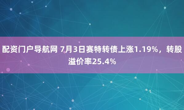 配资门户导航网 7月3日赛特转债上涨1.19%，转股溢价率25.4%