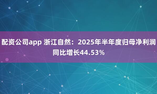 配资公司app 浙江自然：2025年半年度归母净利润同比增长44.53%